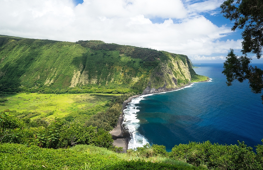 Waipio Valley Lookout